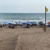 La presencia de Dragón Azul en una playa de Guardamar pone en alerta a los municipios costeros de la Vega Baja