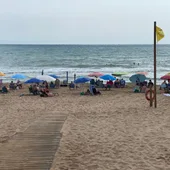La presencia de Dragón Azul en una playa de Guardamar pone en alerta a los municipios costeros de la Vega Baja La presencia de Dragón Azul en una playa de Guardamar pone en alerta a los municipios costeros de la Vega Baja