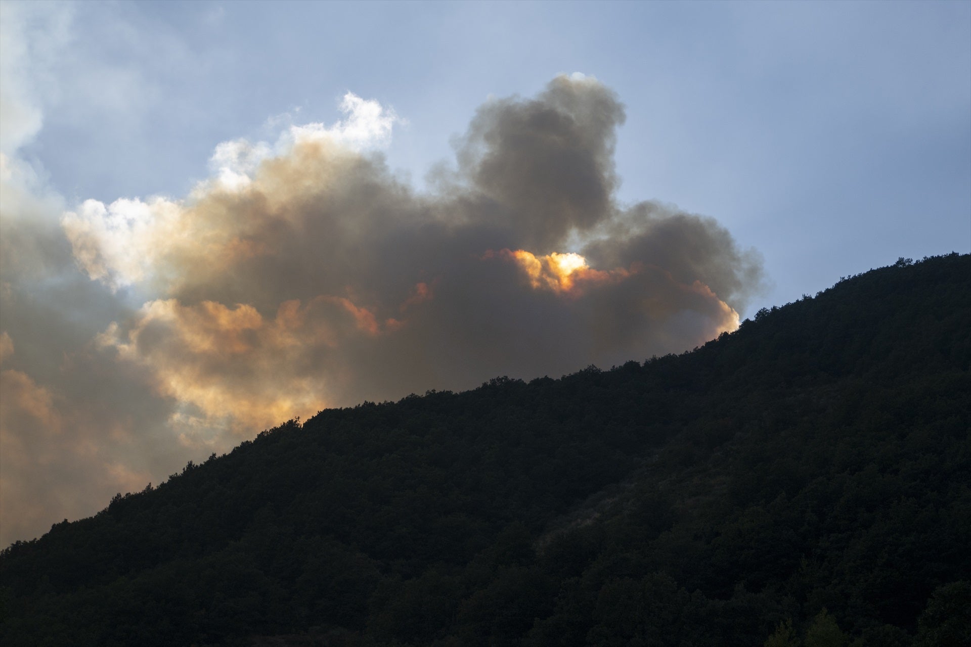 La reflexión del mundo rural sobre la ola de incendios: "Tenemos que tomar esto como un toque de atención" La reflexión del mundo rural sobre la ola de incendios: "Tenemos que tomar esto como un toque de atención"