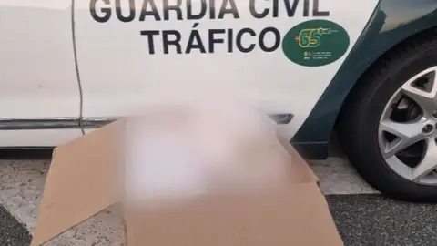 Imagen de la caja de cartón intervenida que contiene 500 cajetillas de tabaco de contrabando. - GUARDIA CIVIL. Imagen de la caja de cartón intervenida que contiene 500 cajetillas de tabaco de contrabando. - GUARDIA CIVIL.