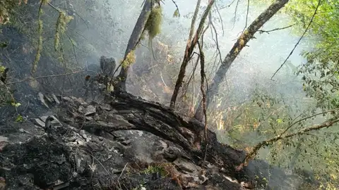 Lumes Ourense Lumes Ourense