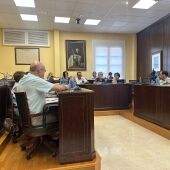 PLENO VILLAJOYOSA
