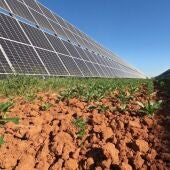 Archivo - Planta solar de Endesa en Andalucía. - ENDESA - Archivo