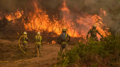 bomberos bomberos