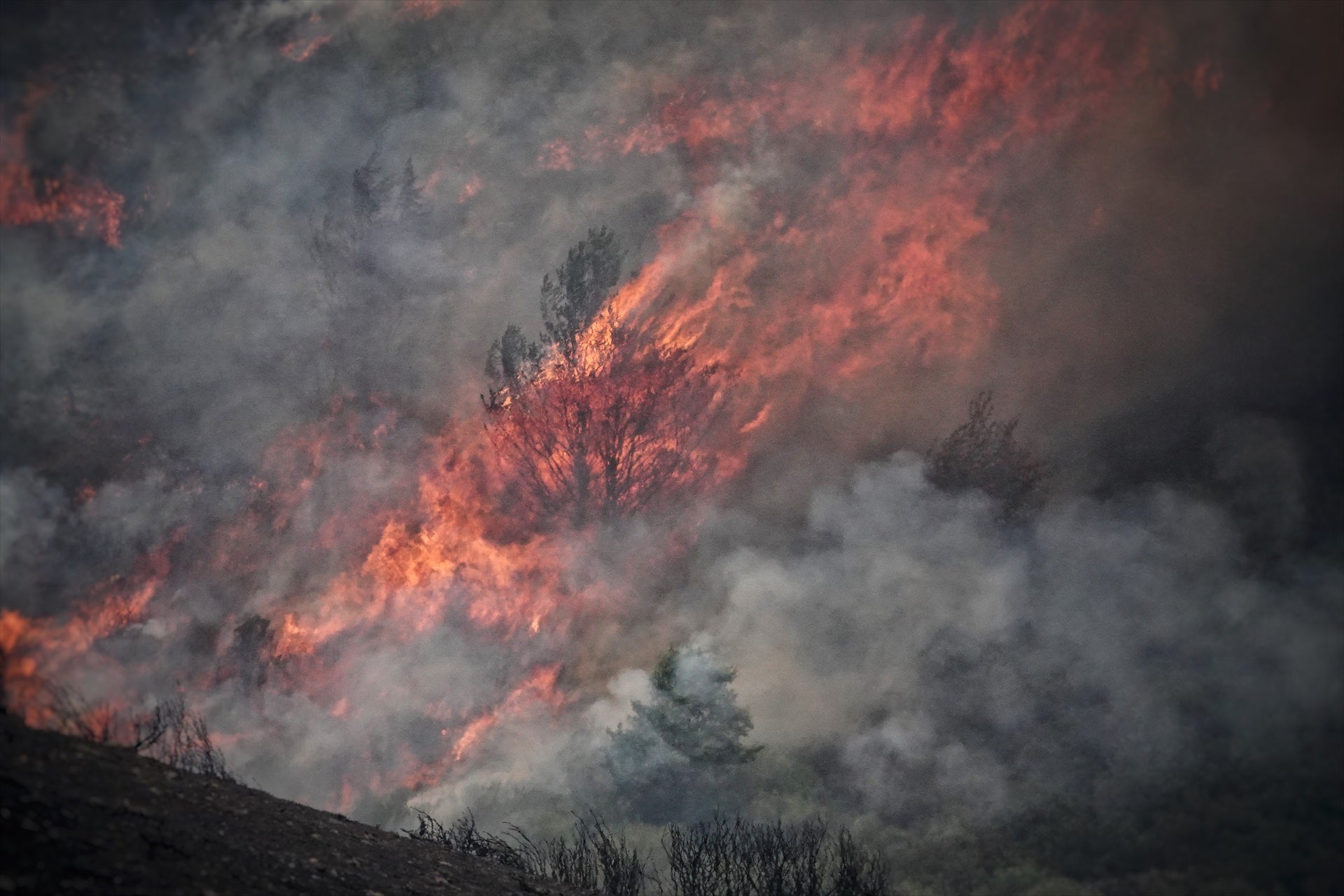 Castilla y León pagará el alquiler a los que hayan perdido la vivienda por los incendios Castilla y León pagará el alquiler a los que hayan perdido la vivienda por los incendios