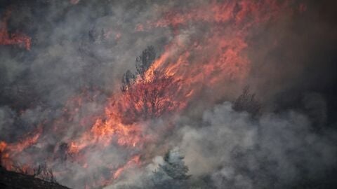 Castilla y Le&oacute;n pagar&aacute; el alquiler a los que hayan perdido la vivienda por los incendios