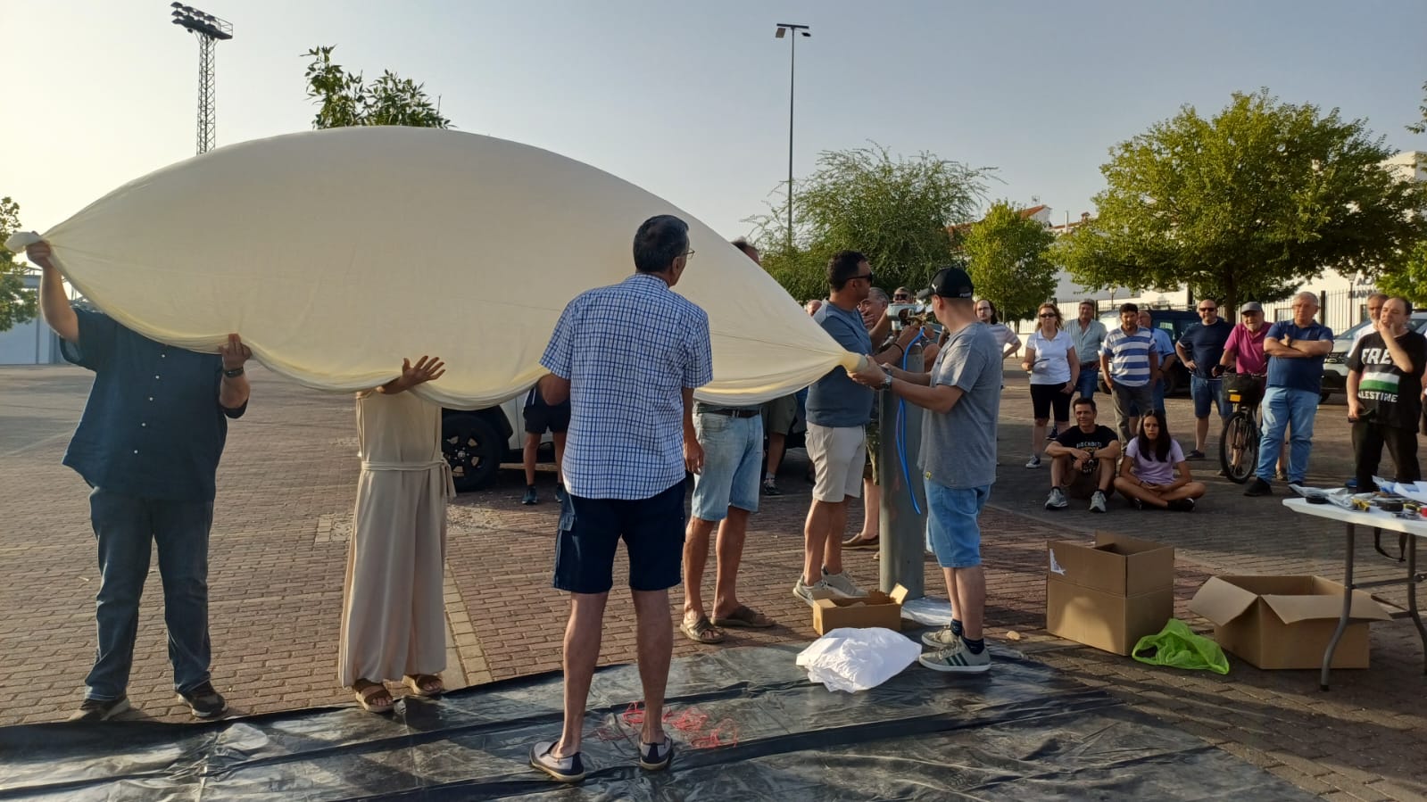 ¿Cómo se comportan las semillas cuando cambian las condiciones atmosféricas? ¿Cómo se comportan las semillas cuando cambian las condiciones atmosféricas?