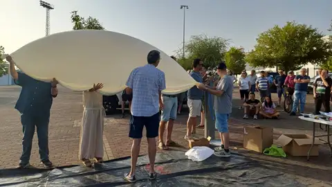 El comportamiento de las semillas cuando cambian las condiciones atmosféricas El comportamiento de las semillas cuando cambian las condiciones atmosféricas