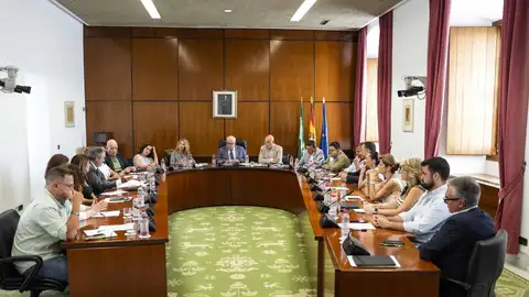 Archivo - Reunión de la Diputación Permanente del Parlamento andaluz. (Foto de archivo). - JOAQUÍN CORCHERO/PARLAMENTO DE ANDALUCÍA - Archivo Archivo - Reunión de la Diputación Permanente del Parlamento andaluz. (Foto de archivo). - JOAQUÍN CORCHERO/PARLAMENTO DE ANDALUCÍA - Archivo