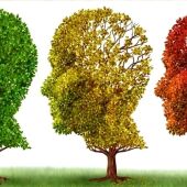 Alegoría enfermedad del Alzheimer.