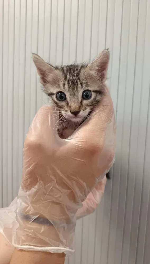 Didack y Pau Didack y Pau