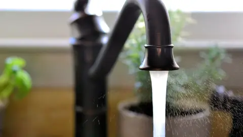 Archivo - Imagen de recurso de un grifo. - JUNTA DE ANDALUCÍA - Archivo Archivo - Imagen de recurso de un grifo. - JUNTA DE ANDALUCÍA - Archivo