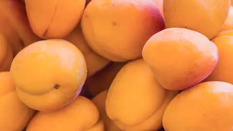 Los fruticultores denuncian que el melocotón se vende por debajo del coste de producción Los fruticultores denuncian que el melocotón se vende por debajo del coste de producción