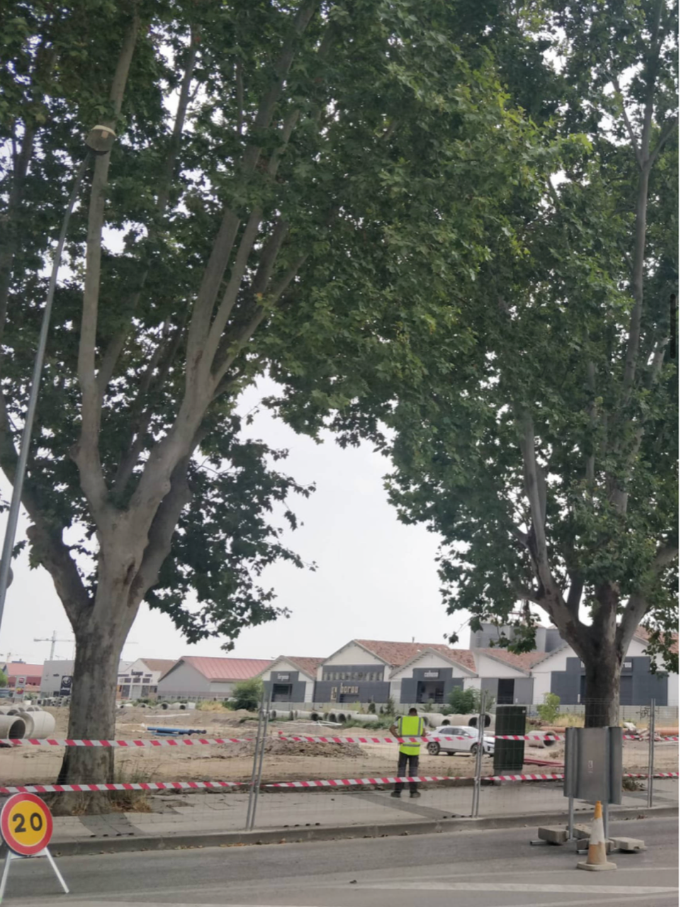 La nueva urbanización del Polígono de las Harineras contará con 420 nuevos árboles La nueva urbanización del Polígono de las Harineras contará con 420 nuevos árboles