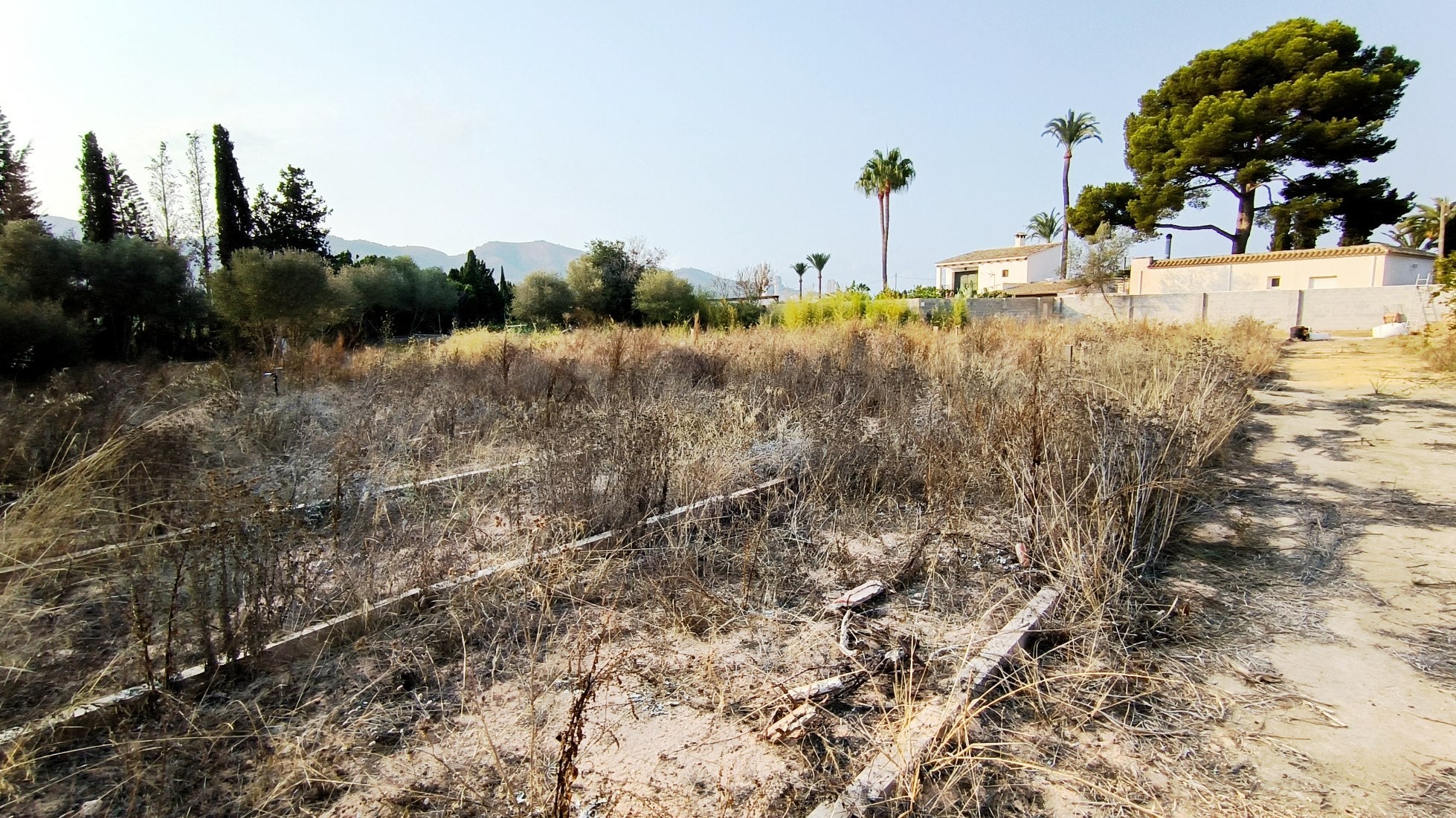 El PSOE de Benidorm denuncia el retraso en la entrega de los nuevos huertos urbanos de l’Horta El PSOE de Benidorm denuncia el retraso en la entrega de los nuevos huertos urbanos de l’Horta