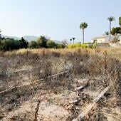 El PSOE de Benidorm denuncia el retraso en la entrega de los nuevos huertos urbanos de l’Horta