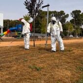 Trabajos de tratamiento contra la plaga de orugas detectada en la zona ajardinada de Luvi de Petrer.