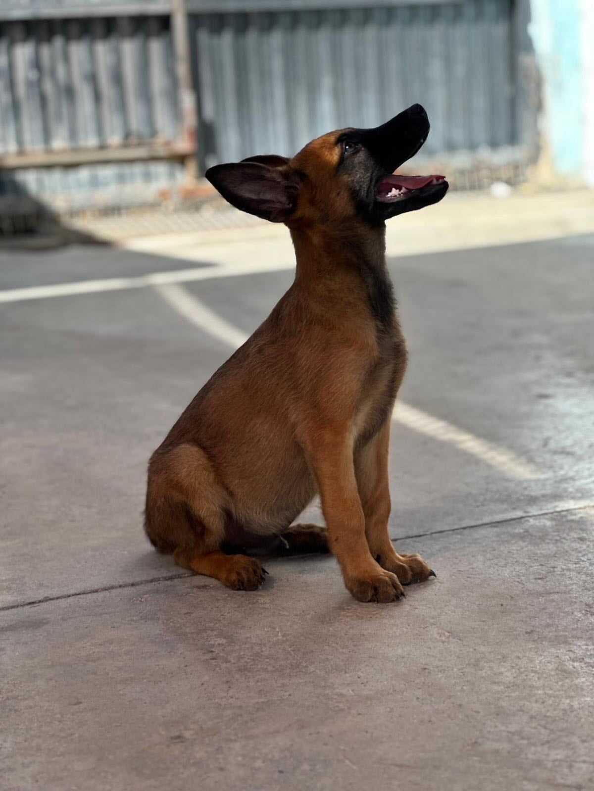 Más de uno Ceuta 25/8/25 Más de uno Ceuta 25/8/25