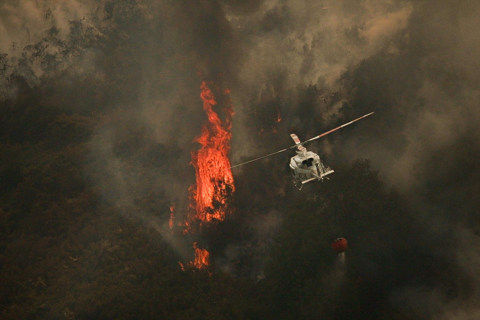 Encuentran restos óseos durante la extinción de un incendio en Ourense Encuentran restos óseos durante la extinción de un incendio en Ourense