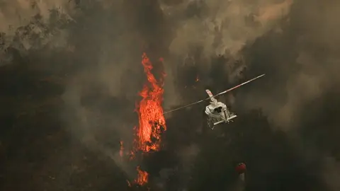 Encuentran restos óseos durante la extinción de un incendio en Ourense Encuentran restos óseos durante la extinción de un incendio en Ourense