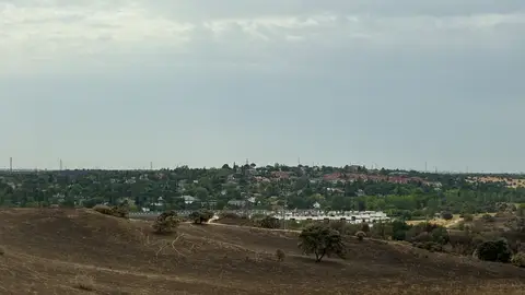 Alfonso Serrano visita las zonas calcinadas junto a los alcaldes de Tres Cantos y Colmenar Viejo Alfonso Serrano visita las zonas calcinadas junto a los alcaldes de Tres Cantos y Colmenar Viejo