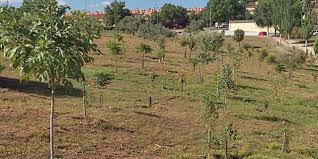 Más de Uno Guadalajara 13:05 25/08/2025 Más de Uno Guadalajara 13:05 25/08/2025