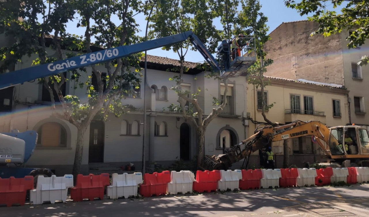 Nace en Huesca la Plataforma Ciudadana "Árboles Vivos" Nace en Huesca la Plataforma Ciudadana "Árboles Vivos"