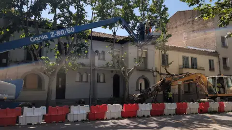 “Nace en Huesca la Plataforma Ciudadana "Árboles Vivos" “Nace en Huesca la Plataforma Ciudadana "Árboles Vivos"