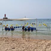 El área accesible de la playa Centro de Villajoyosa atiende a más de 100 usuarios al día