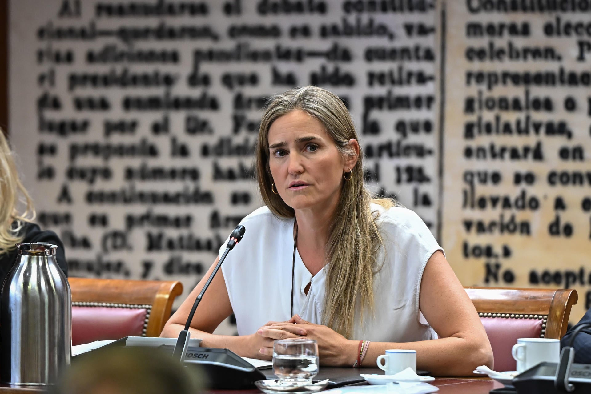 Aagesen defiende un despliegue "sin precedentes" del Gobierno contra los incendios y se abre a "analizar" las medidas del PP Aagesen defiende un despliegue "sin precedentes" del Gobierno contra los incendios y se abre a "analizar" las medidas del PP