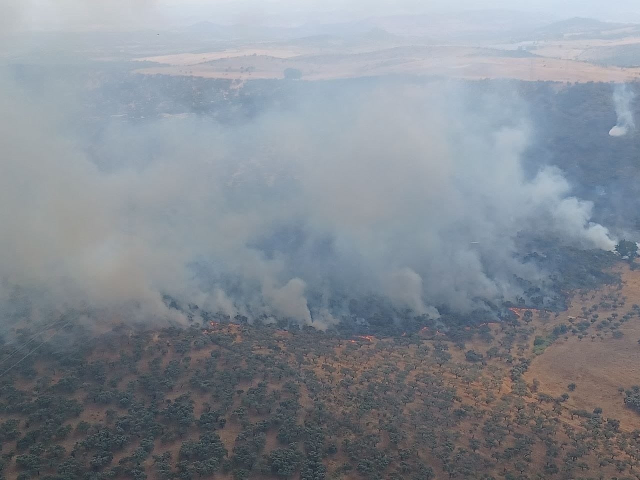 Investigado un madrileño por presuntamente haber provocado un incendio en Burguillos del Cerro (Badajoz) Investigado un madrileño por presuntamente haber provocado un incendio en Burguillos del Cerro (Badajoz)