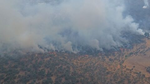 Investigado un madrile&ntilde;o por presuntamente haber provocado un incendio en Burguillos del Cerro (Badajoz)