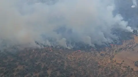 Investigado un madrileño por presuntamente haber provocado un incendio en Burguillos del Cerro (Badajoz) Investigado un madrileño por presuntamente haber provocado un incendio en Burguillos del Cerro (Badajoz)