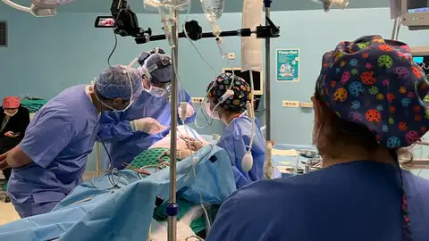 Nuevo trasplante histórico de un pulmón de cerdo a un humano: por qué son necesarios