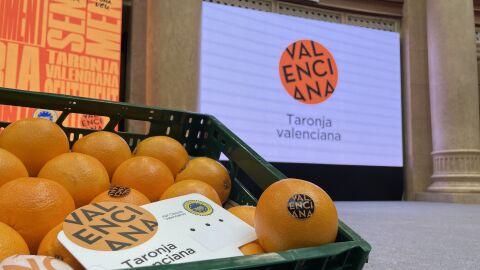Naranjas valencianas