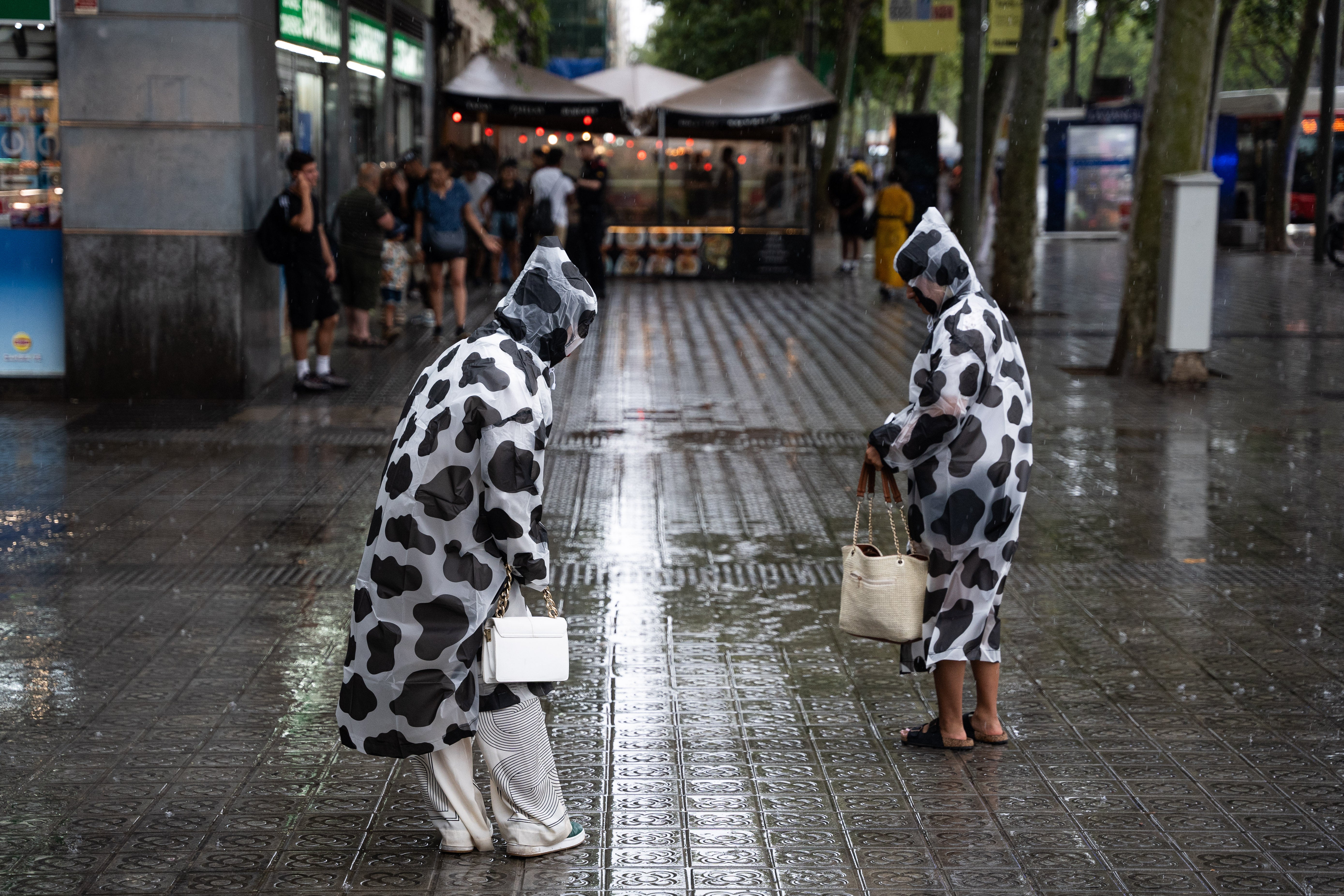Estas son las provincias que han activado los avisos naranjas por lluvias intensas Estas son las provincias que han activado los avisos naranjas por lluvias intensas