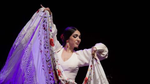 J&oacute;venes Flamencos