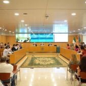 Pleno del 31 de julio, en el que se aprobó la medida. - DIPUTACIÓN DE SEVILLA