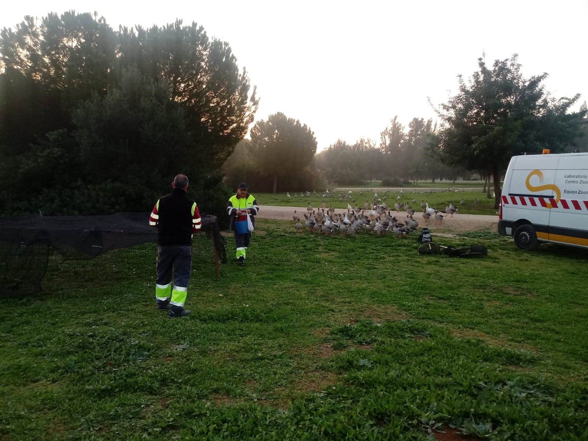 El Ayuntamiento defiende el "correcto estado de mantenimiento" del Tamarguillo tras la muerte de los gansos El Ayuntamiento defiende el "correcto estado de mantenimiento" del Tamarguillo tras la muerte de los gansos