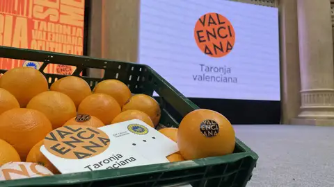 LA UNIÓ denuncia la falta de gestión de 1,4 millones para a la promoción de cítricos en los presupuestos de Generalitat LA UNIÓ denuncia la falta de gestión de 1,4 millones para a la promoción de cítricos en los presupuestos de Generalitat