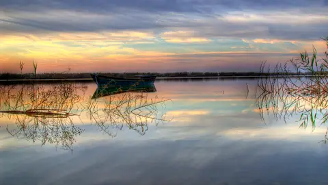 La Albufera de Valencia es hogar de miles de historias de pesca y gastronomía La Albufera de Valencia es hogar de miles de historias de pesca y gastronomía