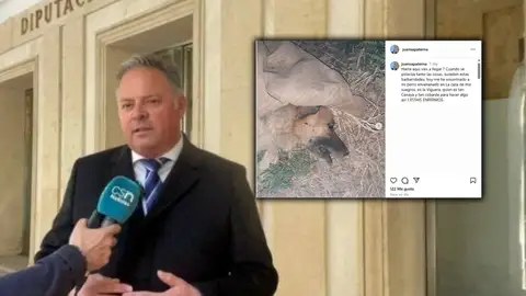 Un alcalde en Huelva denuncia que han envenenado a su perro tras suspender un evento taurino: "Estáis enfermos" Un alcalde en Huelva denuncia que han envenenado a su perro tras suspender un evento taurino: "Estáis enfermos"