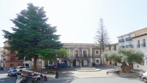 Detalle de la Plaza del Ayuntamiento de Bej&iacute;s con el arbolado de la plaza en el que destaca el Cedro del Atlas a la izquierda y el olivo bi-centenario a la derecha.