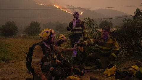 Galicia convoca oposiciones para Bomberos Forestales: requisitos, fechas y ex&aacute;menes