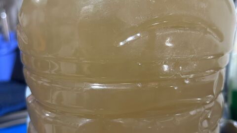 Así sale el agua potable durante estos días en Solanilla del Tamaral Así sale el agua potable durante estos días en Solanilla del Tamaral