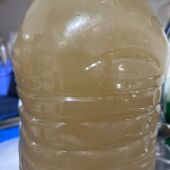 Así sale el agua potable durante estos días en Solanilla del Tamaral