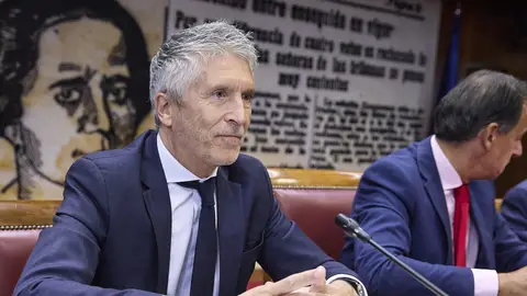 Marlaska acusa al PP de hacer un uso "partidista" de los incendios y de tener la realidad "distorsionada"