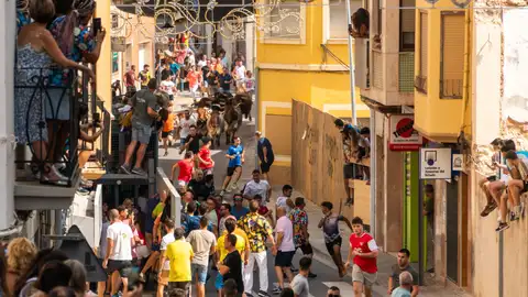 Encierro en las fiestas de l'Alcora. 2024 Encierro en las fiestas de l'Alcora. 2024