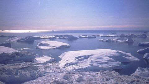 Los cient&iacute;ficos acertaron con la crecida del mar