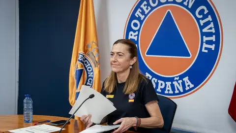 Virginia Barcones, directora de Emergencias y Protección Civil. Virginia Barcones, directora de Emergencias y Protección Civil.